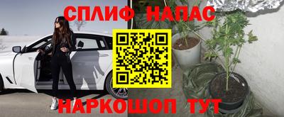 ECSTASY Бузулук