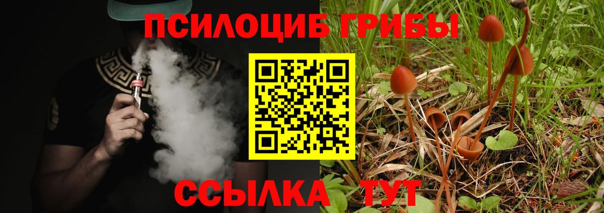 Псилоцибиновые грибы MAGIC MUSHROOMS Махачкала